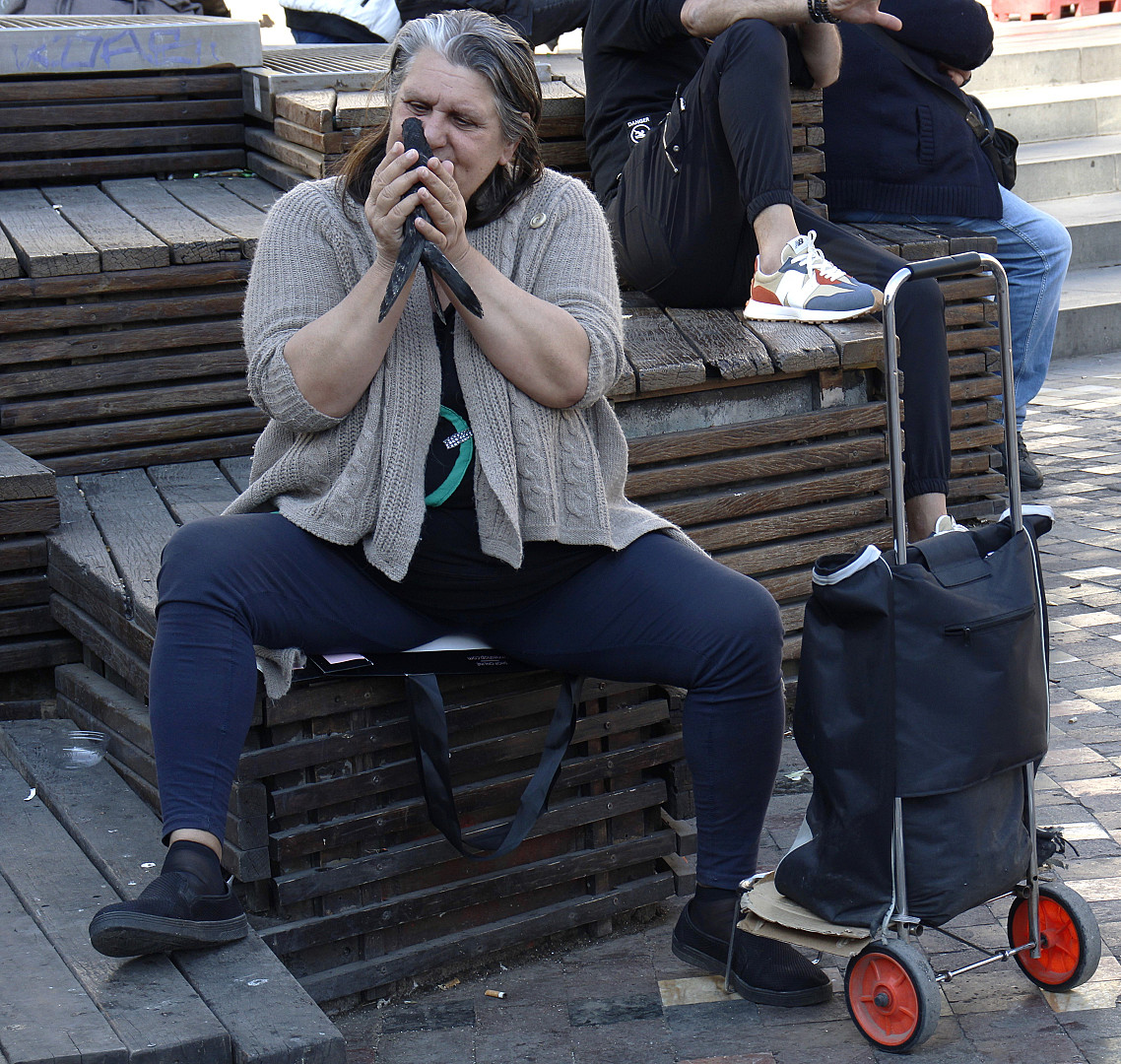 άνθρωποι και περιστέρια.