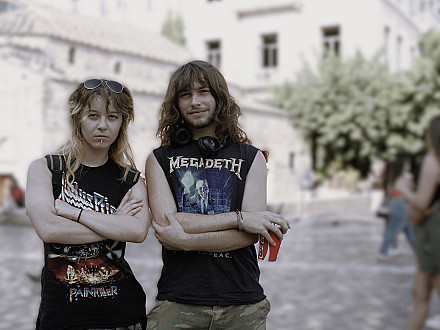 βαριά μέταλλα.