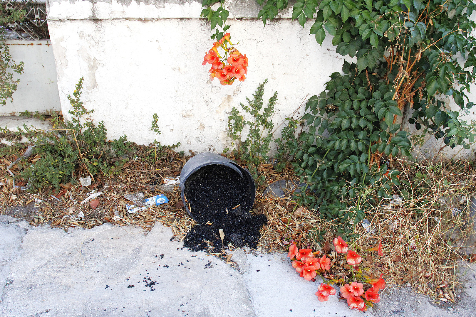λάβα και στάχτη.