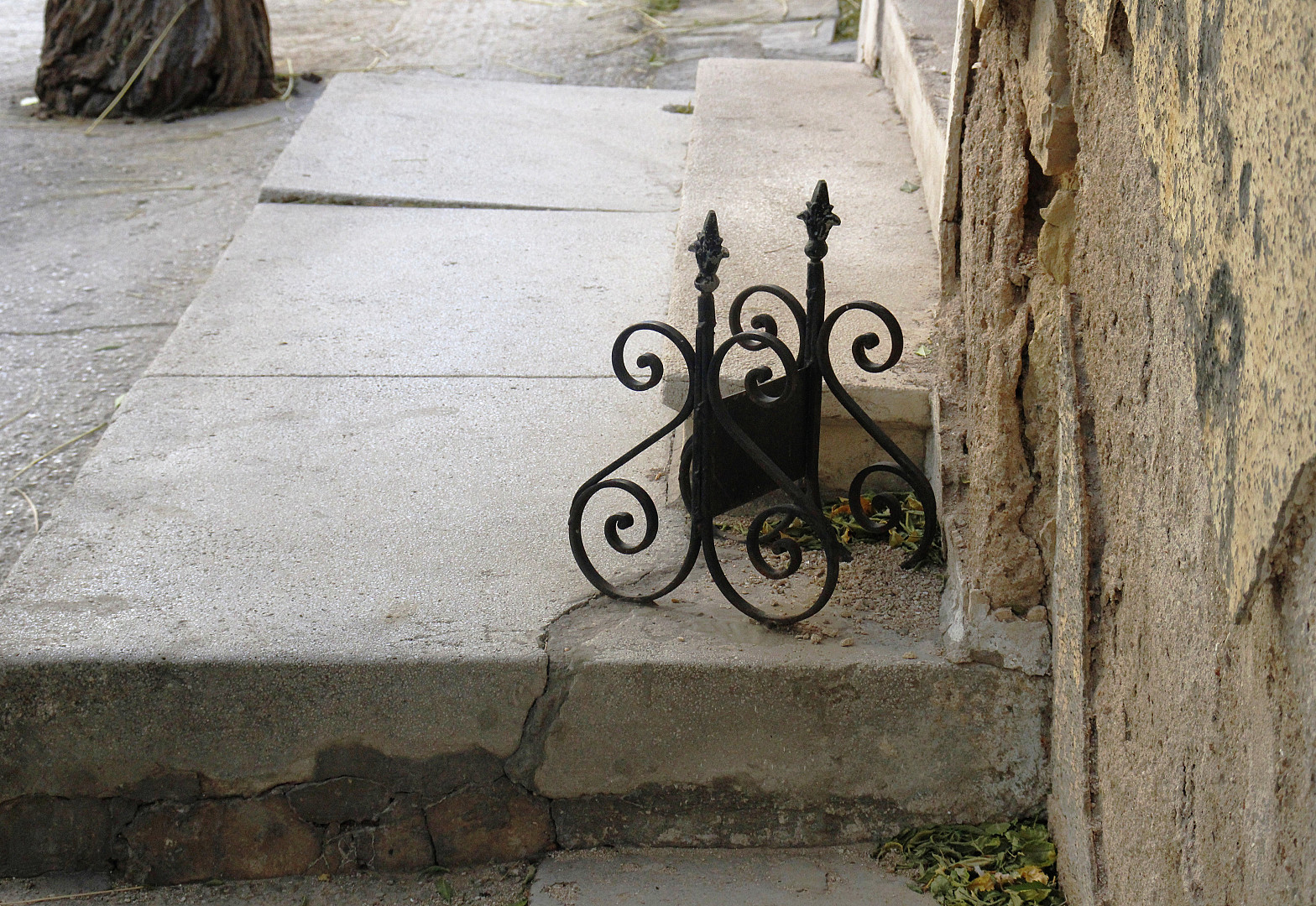 καμπύλες.