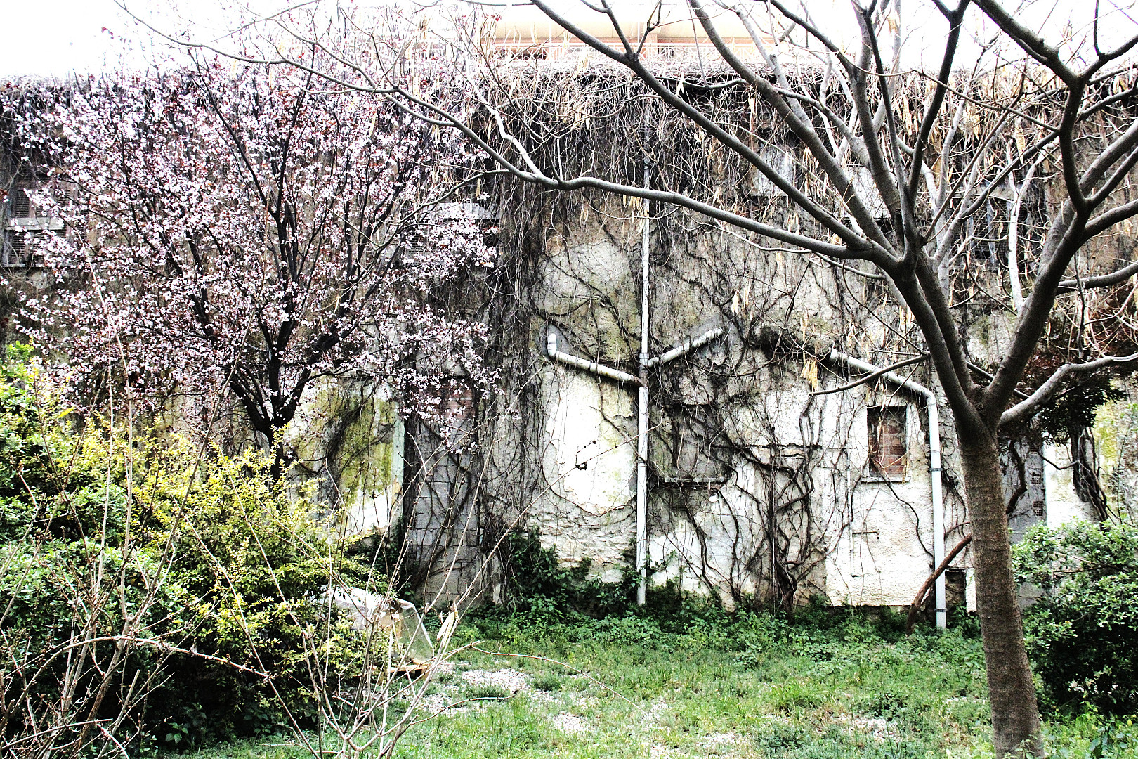 post-apocalyptic.