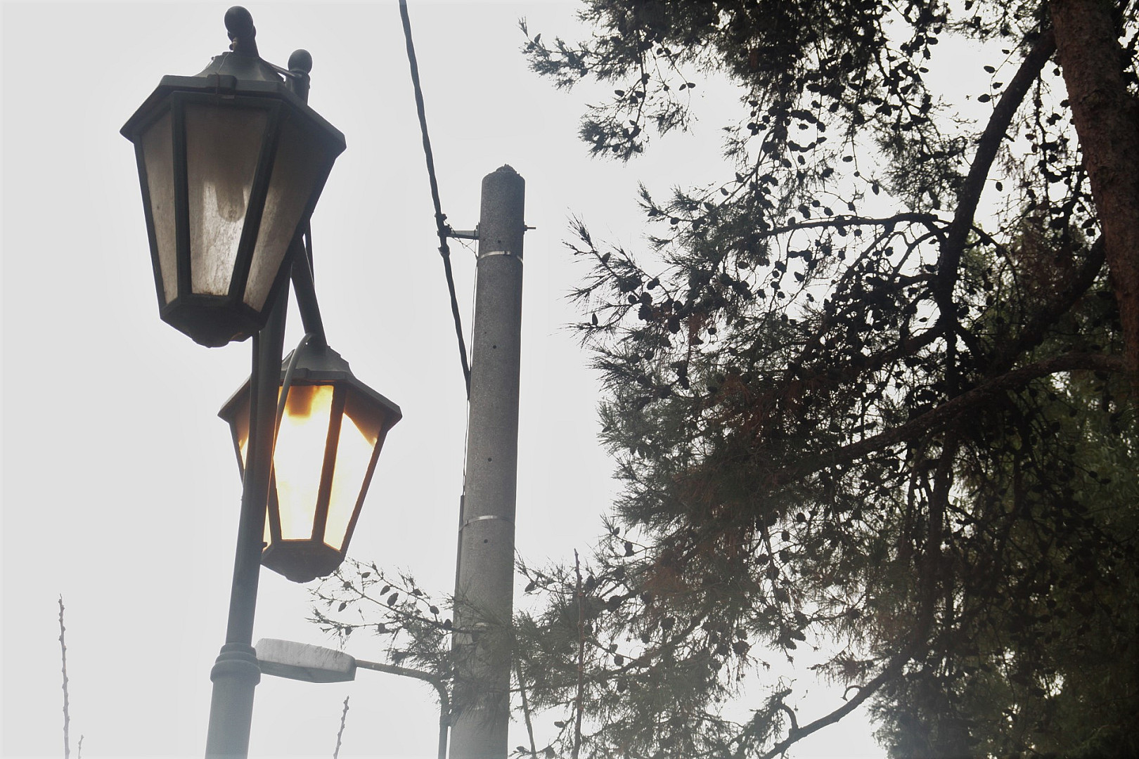 τίποτα δεν λειτουργεί σωστά σ' αυτή τη χώρα.
