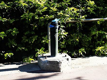 διακόσμηση.
