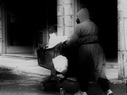 πλανόβιος.