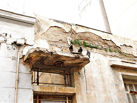 ζωντανός θυρεός από περιστέρια.