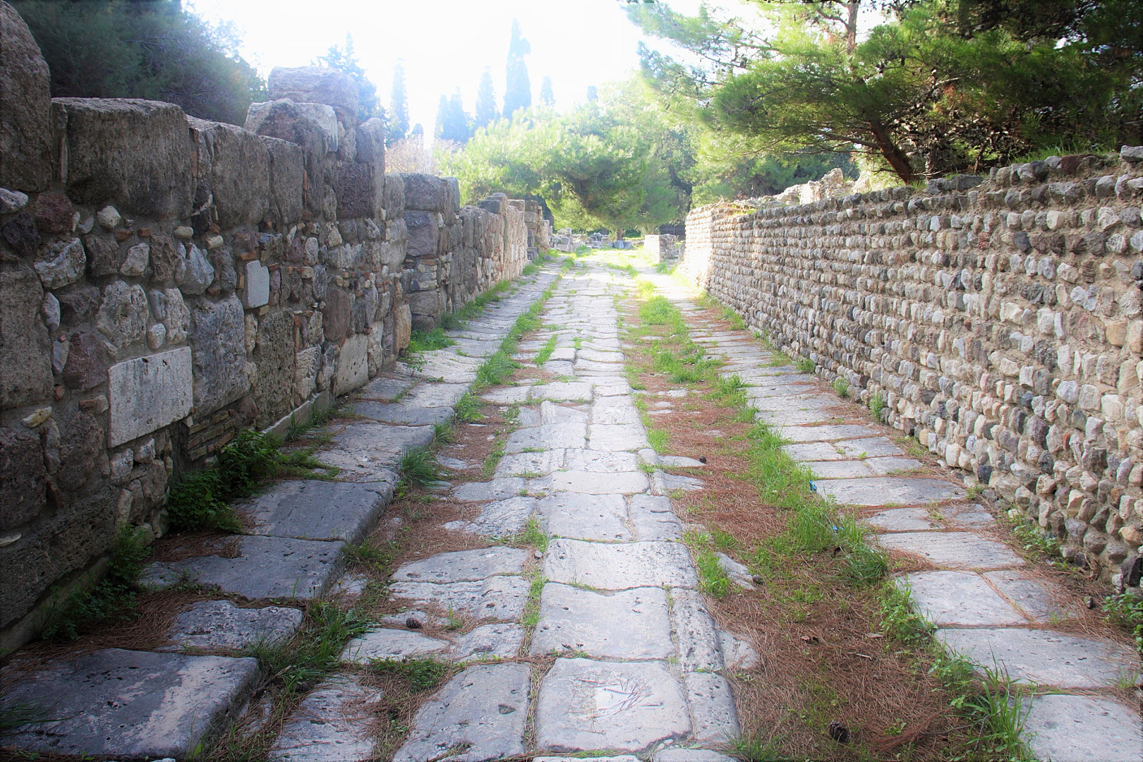 τούνελ.