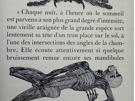 αράχνη.