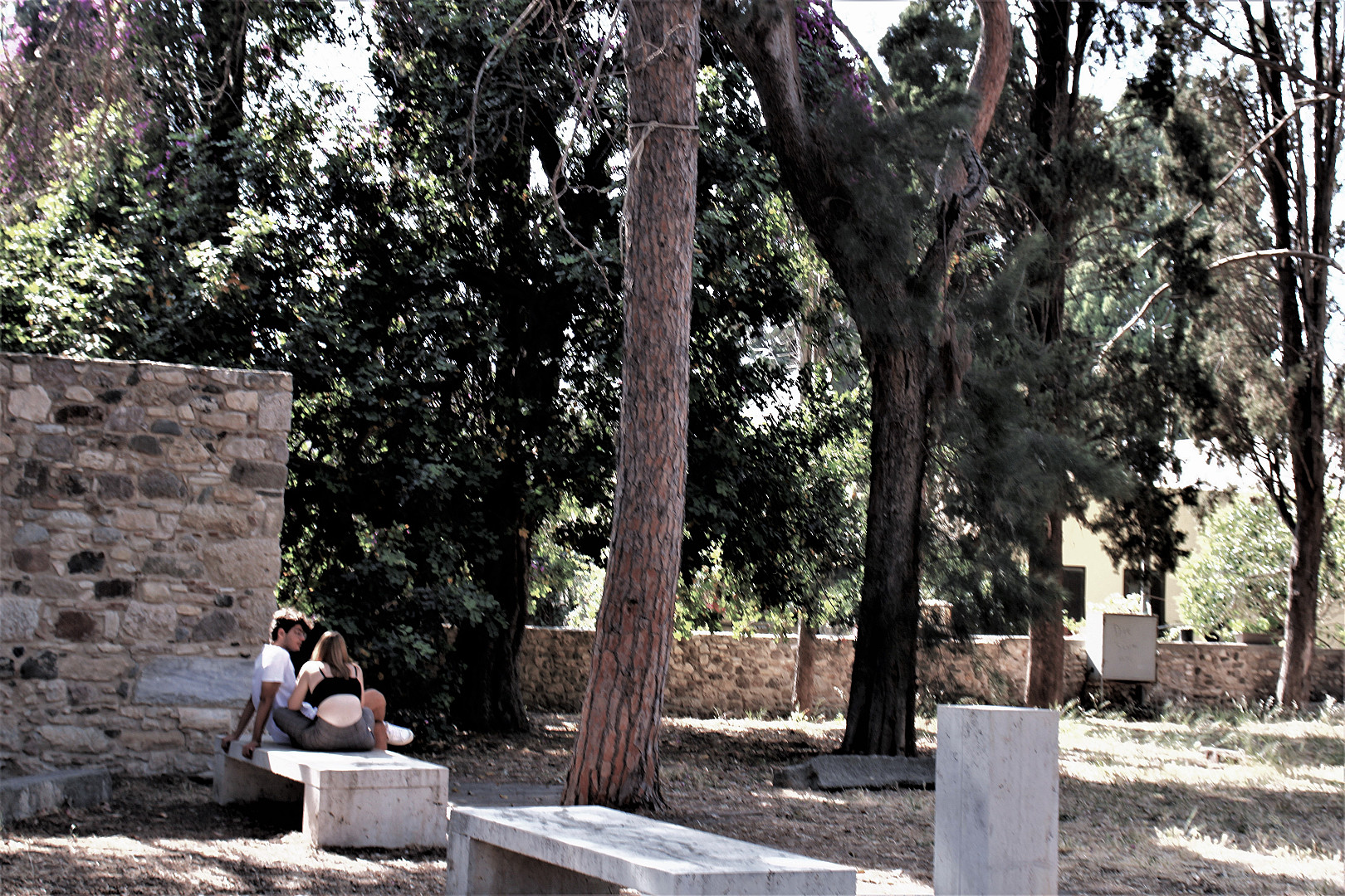 άλσος.