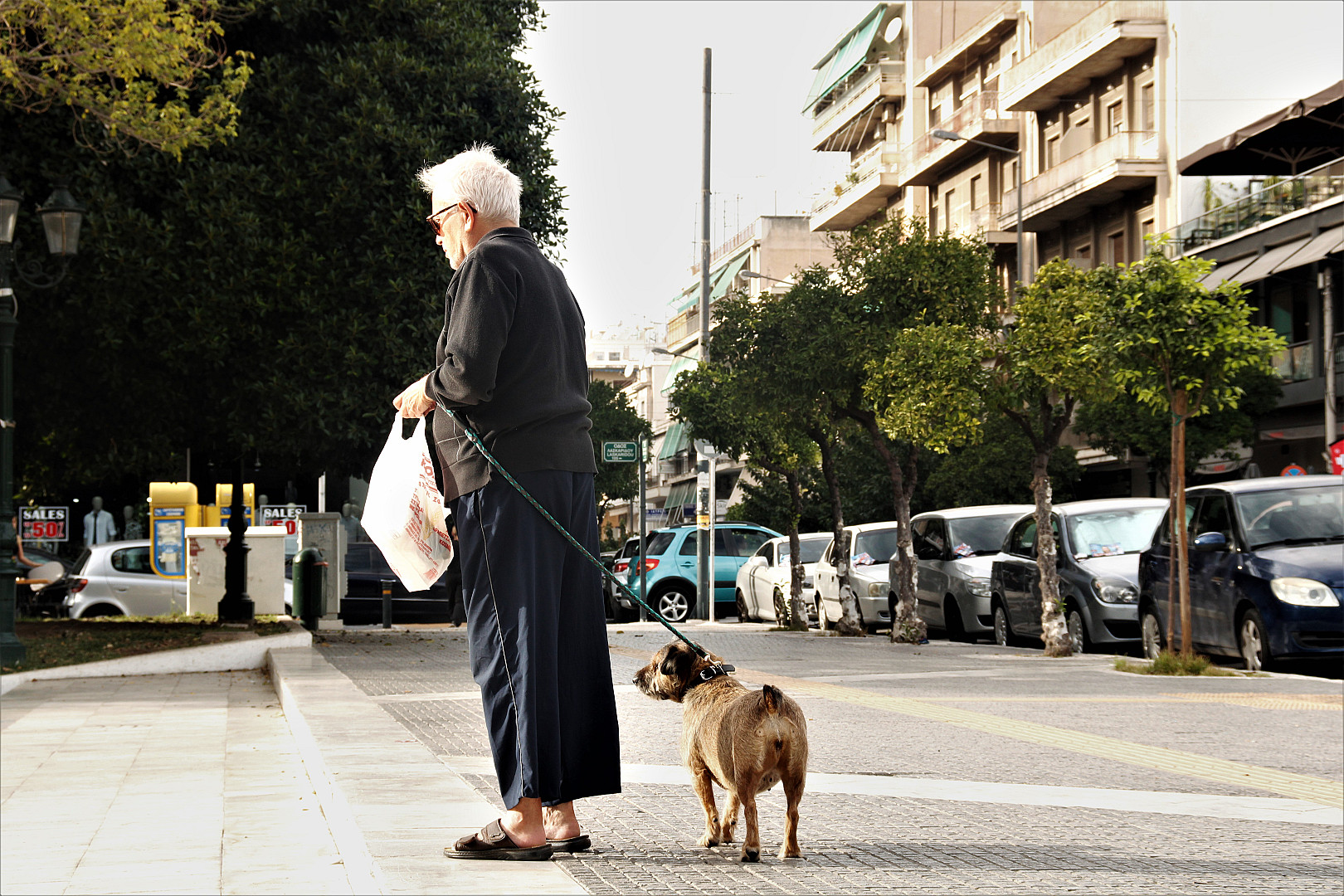 κινηματογράφος για το θρέψιμο των περιστεριών.