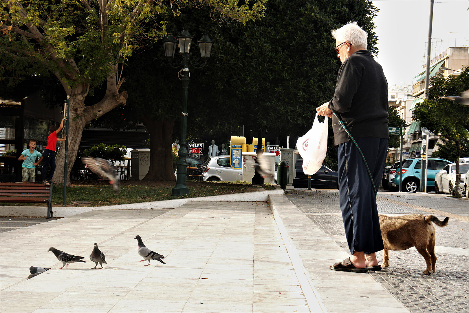 κινηματογράφος για το θρέψιμο περιστεριών.