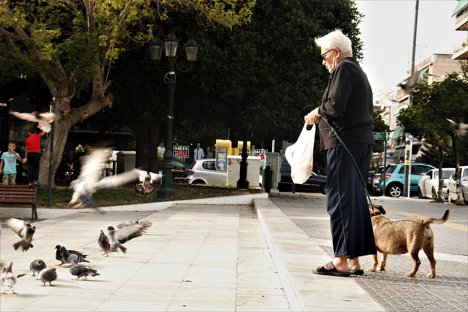 κινηματογράφος για το θρέψιμο περιστεριών.