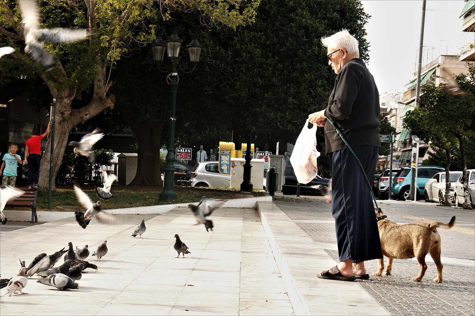 κινηματογράφος για το θρέψιμο περιστεριών.