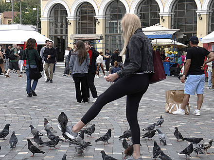 Φυλές της Αθήνας 12.