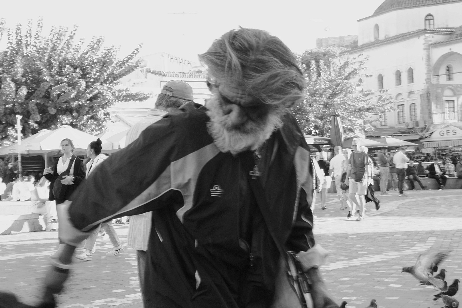 Θυμόσοφος.
