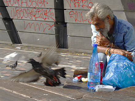 πειρατής 3.